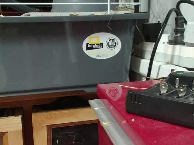 Freechat enchaleur76-1 on BongaCams