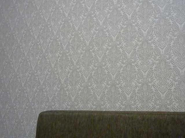 Offline lara45 on BongaCams