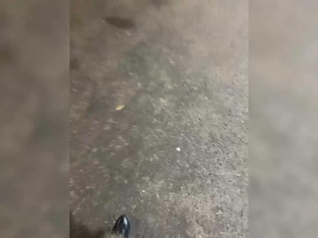 Freechat Lisa1225 on BongaCams