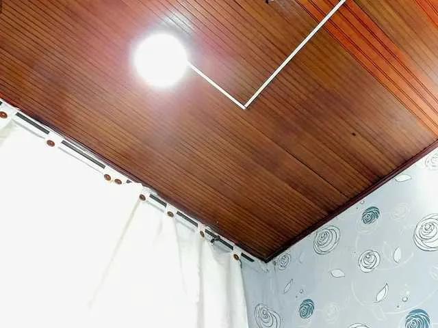 Offline lunaeva23 on BongaCams