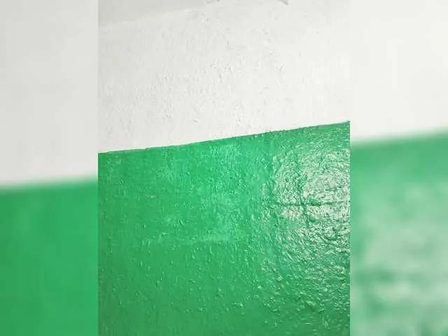 Offline pevicha on BongaCams