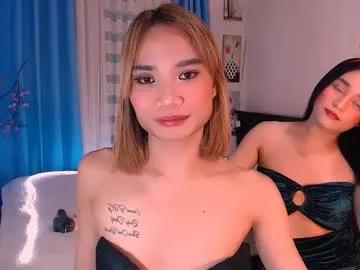 sofiaharte from Chaturbate is Freechat